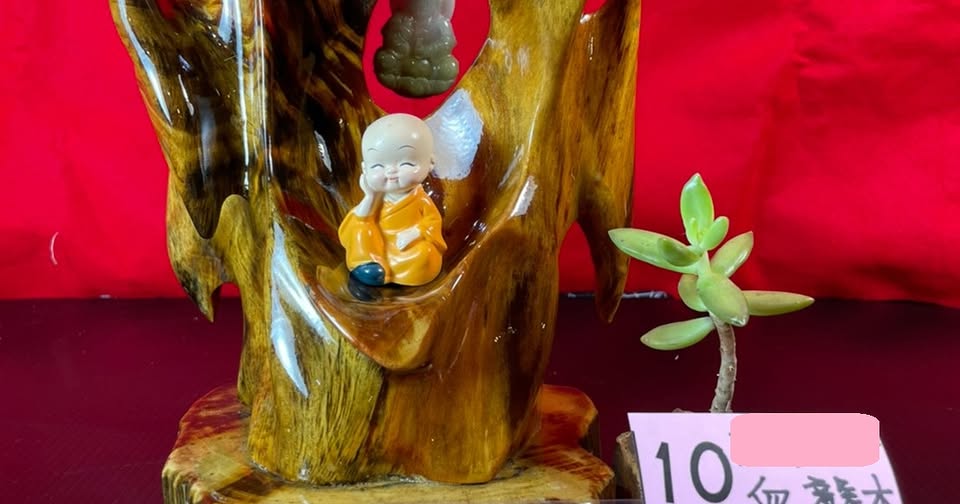 血龍木天然奇木